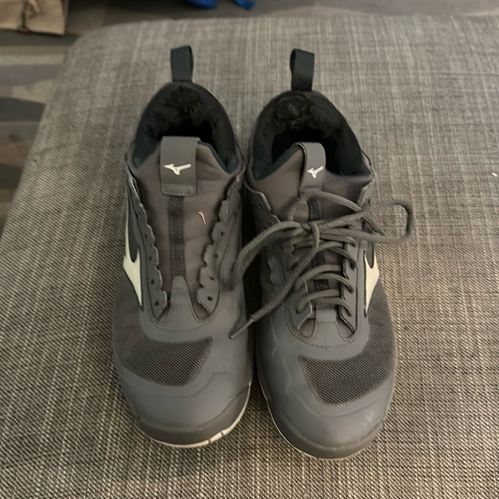 Mizuno Wave Luminous Volleyball shoes